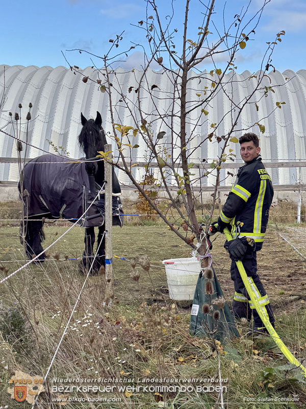 20251118_Notwasserversorgung für Pferde eines Reitstalls in Oberwaltersdorf   Foto: Stefan  Schneider BFKDO BADEN