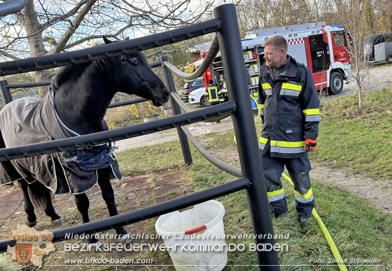 20251118_Notwasserversorgung für Pferde eines Reitstalls in Oberwaltersdorf   Foto: Stefan  Schneider BFKDO BADEN