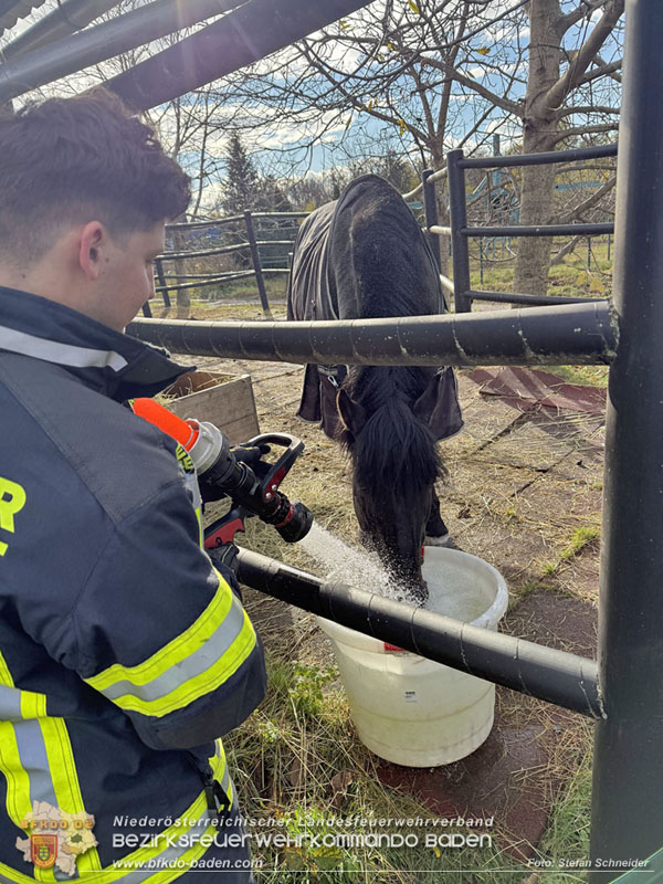 20251118_Notwasserversorgung für Pferde eines Reitstalls in Oberwaltersdorf   Foto: Stefan  Schneider BFKDO BADEN
