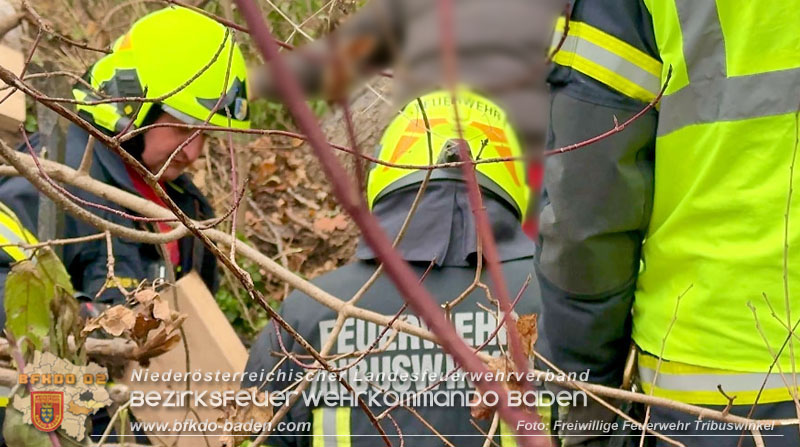20251127_Person in Tribuswinkel unter Baum eingeklemmt - Feuerwehr kann Mann retten   Foto: Thomas Rsach FF Tribuswinkel