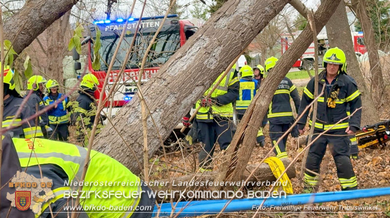 20251127_Person in Tribuswinkel unter Baum eingeklemmt - Feuerwehr kann Mann retten   Foto: Thomas Rsach FF Tribuswinkel