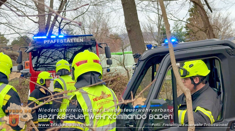 20251127_Person in Tribuswinkel unter Baum eingeklemmt - Feuerwehr kann Mann retten   Foto: Thomas Rsach FF Tribuswinkel