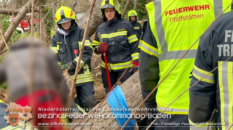 20251127_Person in Tribuswinkel unter Baum eingeklemmt - Feuerwehr kann Mann retten   Foto: Thomas Rsach FF Tribuswinkel