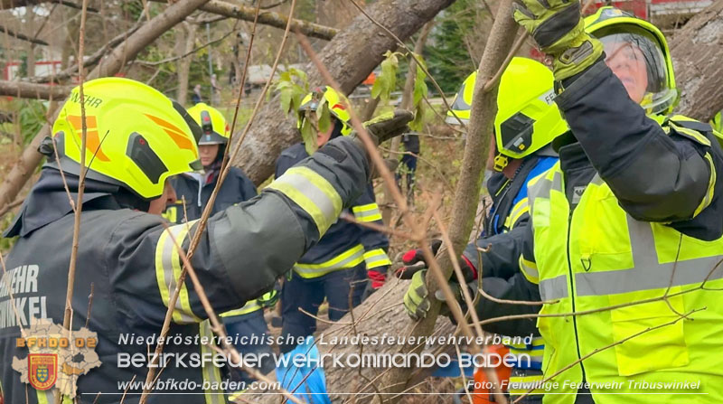 20251127_Person in Tribuswinkel unter Baum eingeklemmt - Feuerwehr kann Mann retten   Foto: Thomas Rsach FF Tribuswinkel