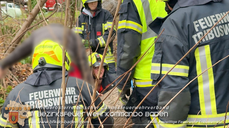 20251127_Person in Tribuswinkel unter Baum eingeklemmt - Feuerwehr kann Mann retten   Foto: Thomas Rsach FF Tribuswinkel