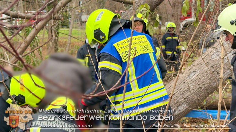 20251127_Person in Tribuswinkel unter Baum eingeklemmt - Feuerwehr kann Mann retten   Foto: Thomas Rsach FF Tribuswinkel