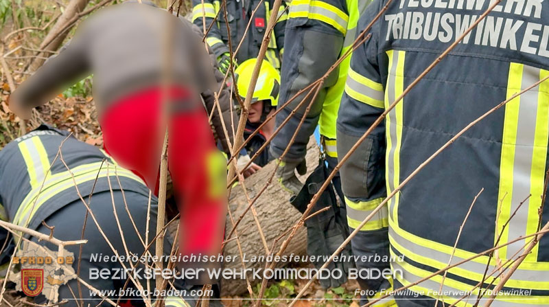 20251127_Person in Tribuswinkel unter Baum eingeklemmt - Feuerwehr kann Mann retten   Foto: Thomas Rsach FF Tribuswinkel