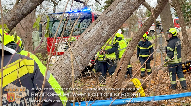 20251127_Person in Tribuswinkel unter Baum eingeklemmt - Feuerwehr kann Mann retten   Foto: Thomas Rsach FF Tribuswinkel