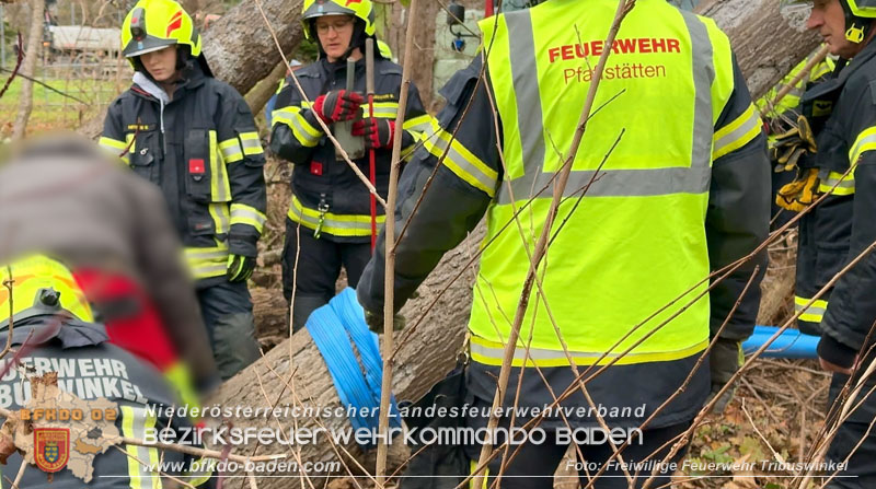 20251127_Person in Tribuswinkel unter Baum eingeklemmt - Feuerwehr kann Mann retten   Foto: Thomas Rsach FF Tribuswinkel