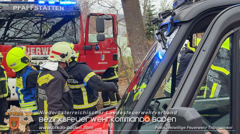 20251127_Person in Tribuswinkel unter Baum eingeklemmt - Feuerwehr kann Mann retten   Foto: Thomas Rsach FF Tribuswinkel