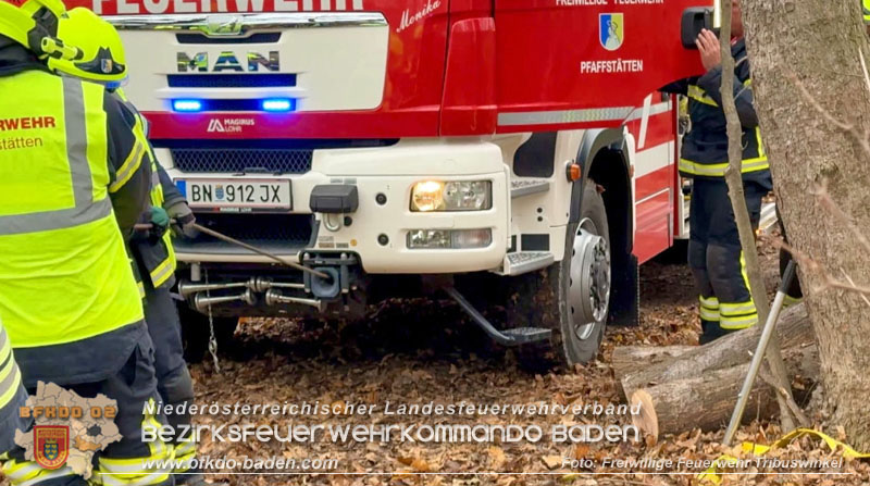 20251127_Person in Tribuswinkel unter Baum eingeklemmt - Feuerwehr kann Mann retten   Foto: Thomas Rsach FF Tribuswinkel