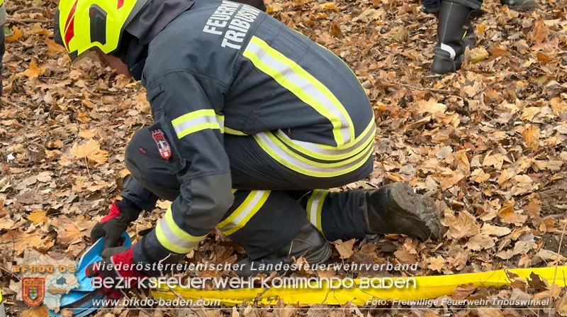 20251127_Person in Tribuswinkel unter Baum eingeklemmt - Feuerwehr kann Mann retten   Foto: Thomas Rsach FF Tribuswinkel