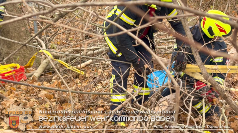 20251127_Person in Tribuswinkel unter Baum eingeklemmt - Feuerwehr kann Mann retten   Foto: Thomas Rsach FF Tribuswinkel