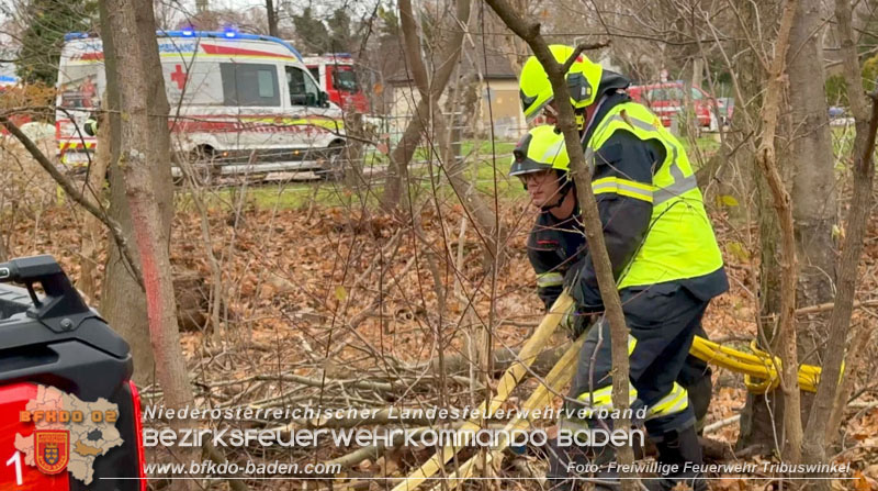 20251127_Person in Tribuswinkel unter Baum eingeklemmt - Feuerwehr kann Mann retten   Foto: Thomas Rsach FF Tribuswinkel