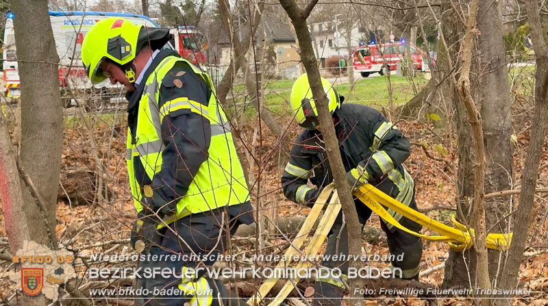 20251127_Person in Tribuswinkel unter Baum eingeklemmt - Feuerwehr kann Mann retten   Foto: Thomas Rsach FF Tribuswinkel