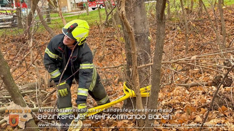 20251127_Person in Tribuswinkel unter Baum eingeklemmt - Feuerwehr kann Mann retten   Foto: Thomas Rsach FF Tribuswinkel