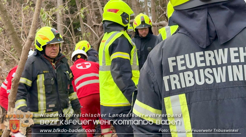20251127_Person in Tribuswinkel unter Baum eingeklemmt - Feuerwehr kann Mann retten   Foto: Thomas Rsach FF Tribuswinkel