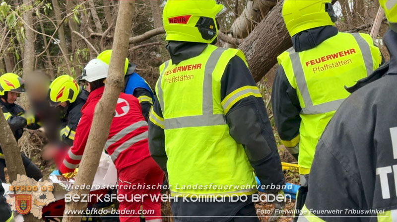 20251127_Person in Tribuswinkel unter Baum eingeklemmt - Feuerwehr kann Mann retten   Foto: Thomas Rsach FF Tribuswinkel