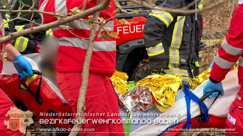 20251127_Person in Tribuswinkel unter Baum eingeklemmt - Feuerwehr kann Mann retten   Foto: Thomas Rsach FF Tribuswinkel
