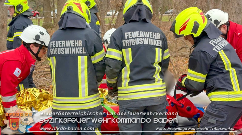 20251127_Person in Tribuswinkel unter Baum eingeklemmt - Feuerwehr kann Mann retten   Foto: Thomas Rsach FF Tribuswinkel