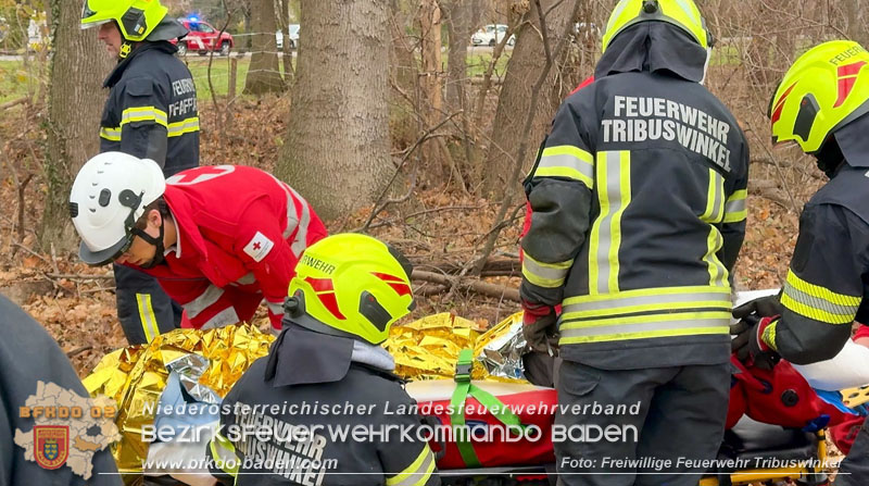20251127_Person in Tribuswinkel unter Baum eingeklemmt - Feuerwehr kann Mann retten   Foto: Thomas Rsach FF Tribuswinkel