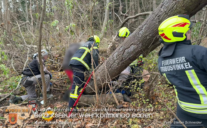 20251127_Person in Tribuswinkel unter Baum eingeklemmt - Feuerwehr kann Mann retten   Foto: Stefan Schneider BFKDO BADEN