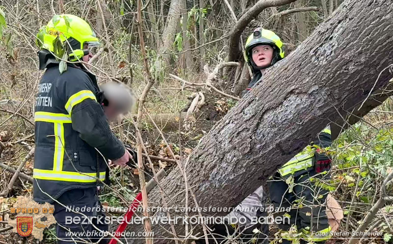 20251127_Person in Tribuswinkel unter Baum eingeklemmt - Feuerwehr kann Mann retten   Foto: Stefan Schneider BFKDO BADEN