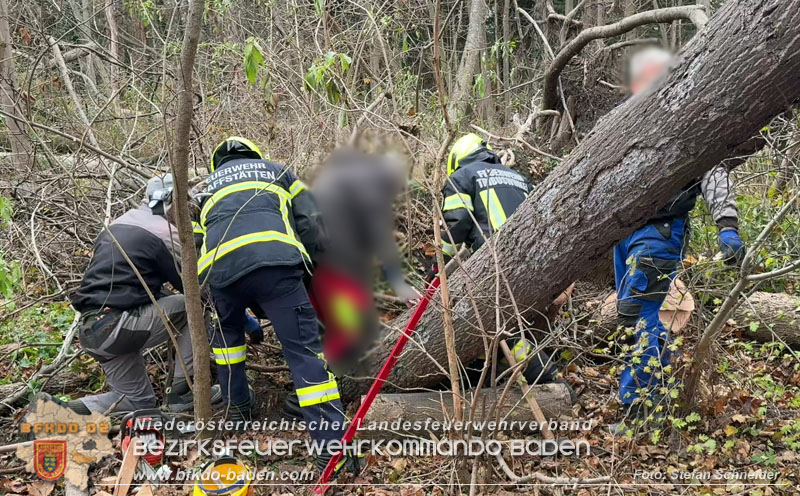20251127_Person in Tribuswinkel unter Baum eingeklemmt - Feuerwehr kann Mann retten   Foto: Stefan Schneider BFKDO BADEN