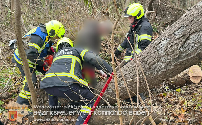 20251127_Person in Tribuswinkel unter Baum eingeklemmt - Feuerwehr kann Mann retten   Foto: Stefan Schneider BFKDO BADEN