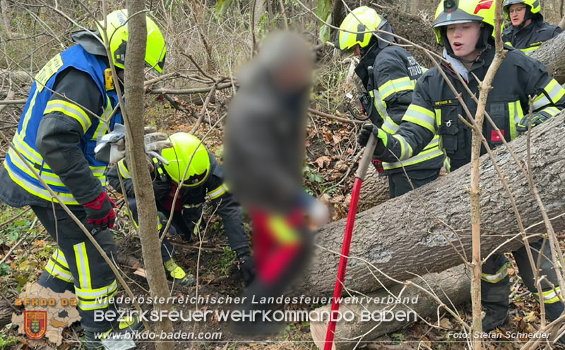 20251127_Person in Tribuswinkel unter Baum eingeklemmt - Feuerwehr kann Mann retten   Foto: Stefan Schneider BFKDO BADEN