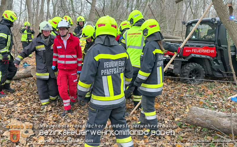 20251127_Person in Tribuswinkel unter Baum eingeklemmt - Feuerwehr kann Mann retten   Foto: Stefan Schneider BFKDO BADEN