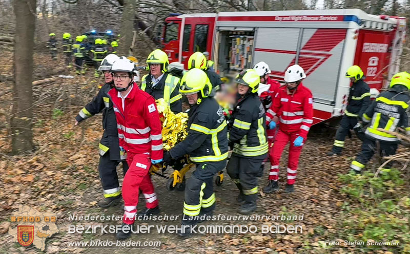 20251127_Person in Tribuswinkel unter Baum eingeklemmt - Feuerwehr kann Mann retten   Foto: Stefan Schneider BFKDO BADEN
