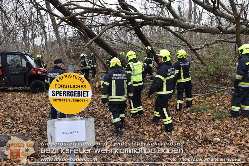20251127_Person in Tribuswinkel unter Baum eingeklemmt - Feuerwehr kann Mann retten   Foto: Thomas Lenger Monatsrevue.at