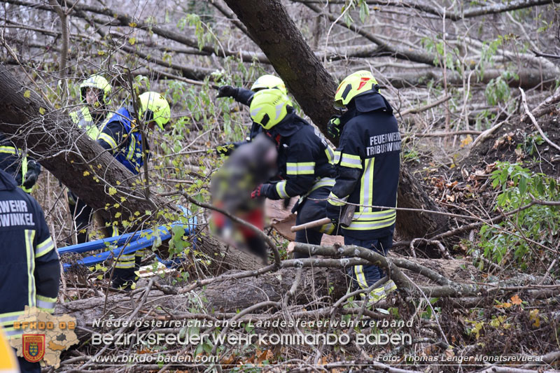 20251127_Person in Tribuswinkel unter Baum eingeklemmt - Feuerwehr kann Mann retten   Foto: Thomas Lenger Monatsrevue.at