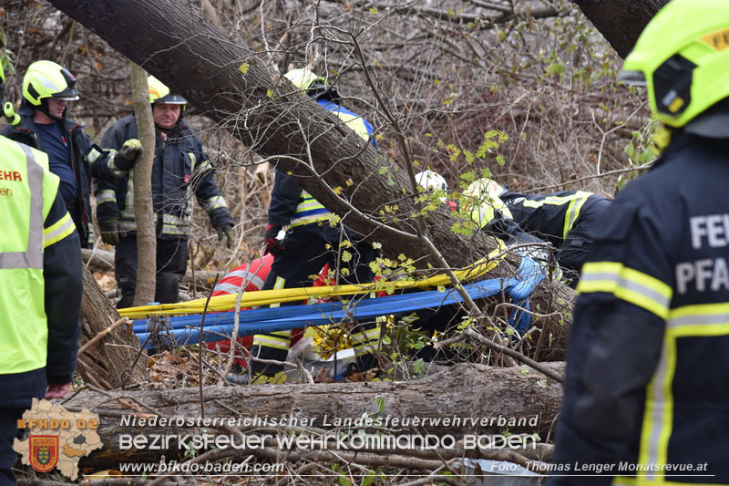 20251127_Person in Tribuswinkel unter Baum eingeklemmt - Feuerwehr kann Mann retten   Foto: Thomas Lenger Monatsrevue.at
