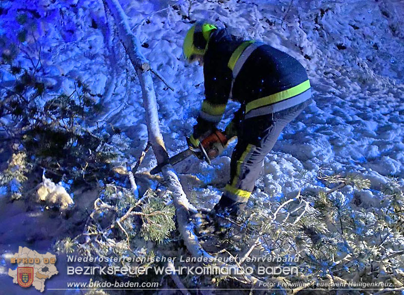 20251225_Umgestürzter Baum ragt auf der B210 in Fahrbahn Foto: Freiwillige Feuerwehr Heiligenkreuz 20251225_Umgestürzter Baum ragt auf der B210 in Fahrbahn Foto: Freiwillige Feuerwehr Heiligenkreuz