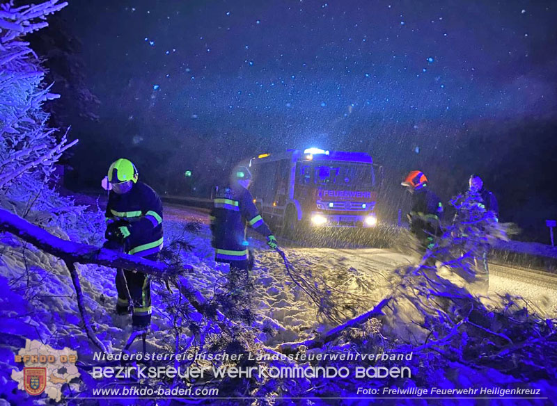 20251225_Umgestürzter Baum ragt auf der B210 in Fahrbahn Foto: Freiwillige Feuerwehr Heiligenkreuz 20251225_Umgestürzter Baum ragt auf der B210 in Fahrbahn Foto: Freiwillige Feuerwehr Heiligenkreuz