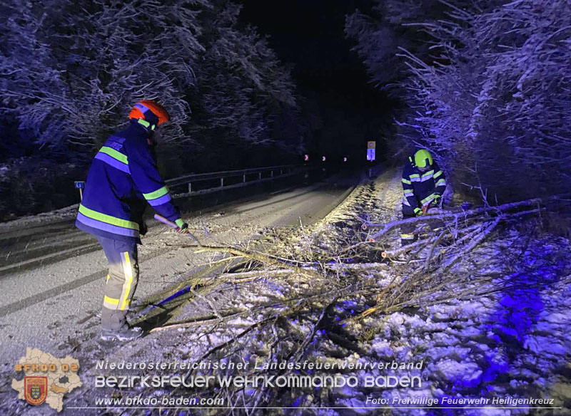 20251225_Umgestürzter Baum ragt auf der B210 in Fahrbahn Foto: Freiwillige Feuerwehr Heiligenkreuz 20251225_Umgestürzter Baum ragt auf der B210 in Fahrbahn Foto: Freiwillige Feuerwehr Heiligenkreuz
