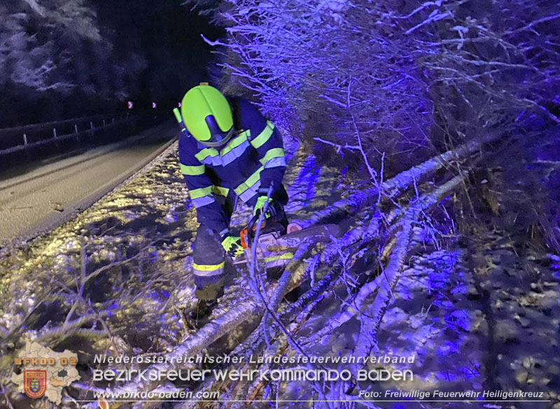 20251225_Umgestürzter Baum ragt auf der B210 in Fahrbahn   Foto: Freiwillige Feuerwehr Heiligenkreuz