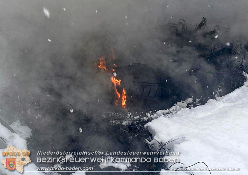20260109_Vollbrand LKW Sattelzug auf der A21 bei Heiligenkreuz NÖ fordert Einsatzkräfte über Stunden  Foto: FF Alland