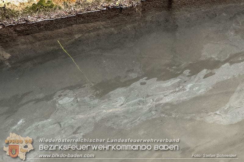 20260130_Rasche Entwarnung bei Gewässerverunreinigung in der Fischa-Dagnitz  Foto: Stefan Schneider BFKDO BADEN
