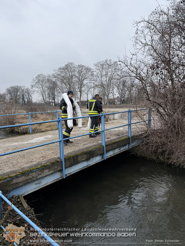 20260130_Rasche Entwarnung bei Gewässerverunreinigung in der Fischa-Dagnitz  Foto: Stefan Schneider BFKDO BADEN