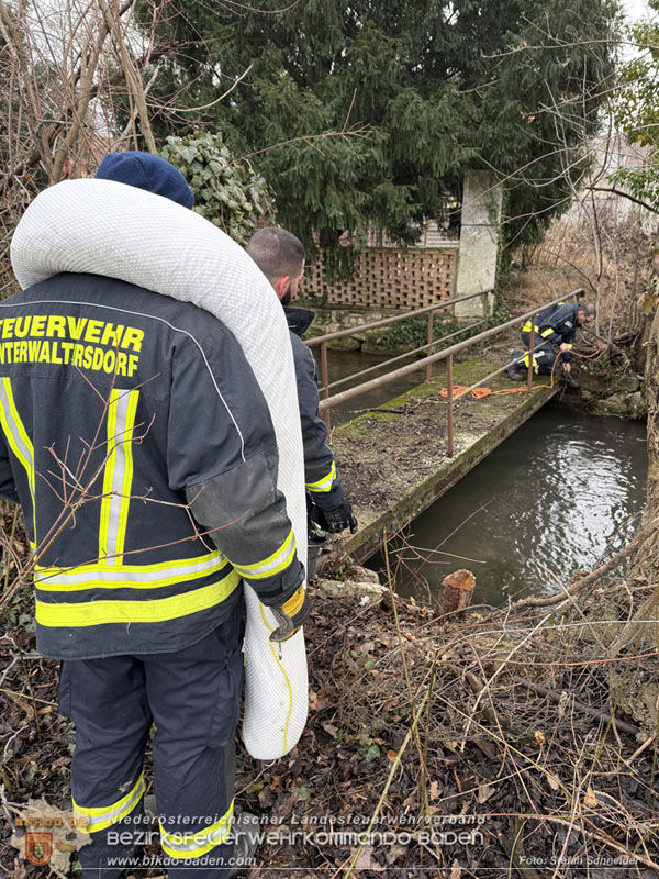 20260130_Rasche Entwarnung bei Gewässerverunreinigung in der Fischa-Dagnitz  Foto: Stefan Schneider BFKDO BADEN