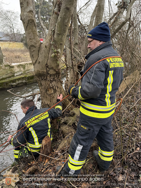 20260130_Rasche Entwarnung bei Gewässerverunreinigung in der Fischa-Dagnitz  Foto: Stefan Schneider BFKDO BADEN
