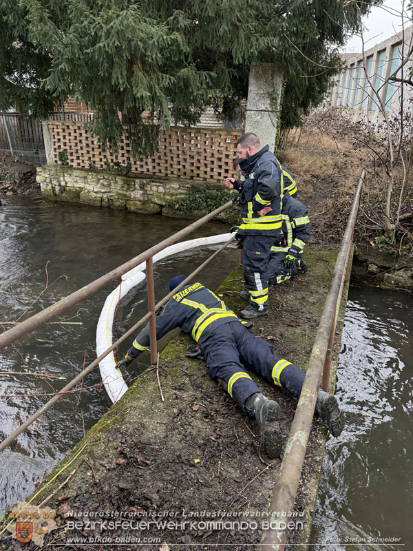 20260130_Rasche Entwarnung bei Gewässerverunreinigung in der Fischa-Dagnitz  Foto: Stefan Schneider BFKDO BADEN