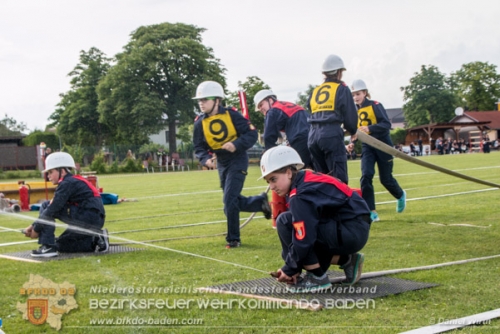 BFJLB 2016, Daniel Wirth