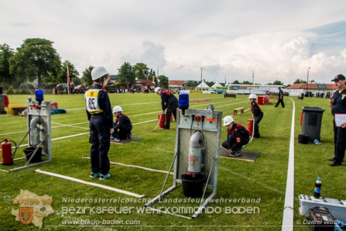 BFJLB 2016, Daniel Wirth
