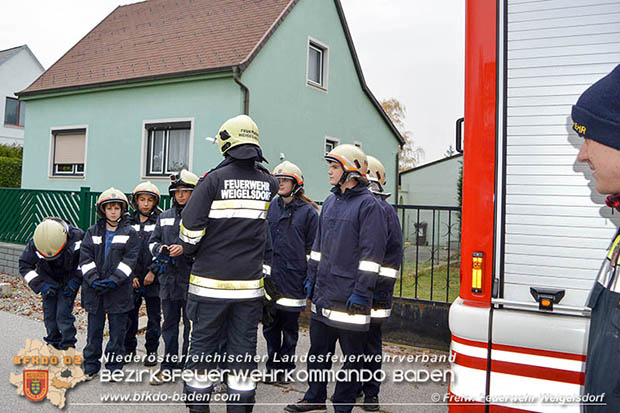 25 Stunden uebung der Feuerwehrjugend Weigelsdorf Foto: FF Weigelsdorf 25 Stunden uebung der Feuerwehrjugend Weigelsdorf Foto: FF Weigelsdorf