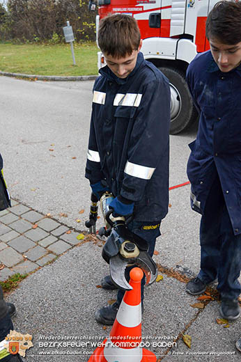 25 Stunden uebung der Feuerwehrjugend Weigelsdorf Foto: FF Weigelsdorf 25 Stunden uebung der Feuerwehrjugend Weigelsdorf Foto: FF Weigelsdorf