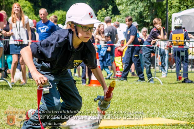 Bezirksfeuerwehrjugendleistungsbewerbe am 10. Juni 2017 im Schosspark Tribuswinkel Foto: ASB ÖA Daniel Wirth AFKDO Baden-Land Bezirksfeuerwehrjugendleistungsbewerbe am 10. Juni 2017 im Schosspark Tribuswinkel Foto: ASB ÖA Daniel Wirth AFKDO Baden-Land